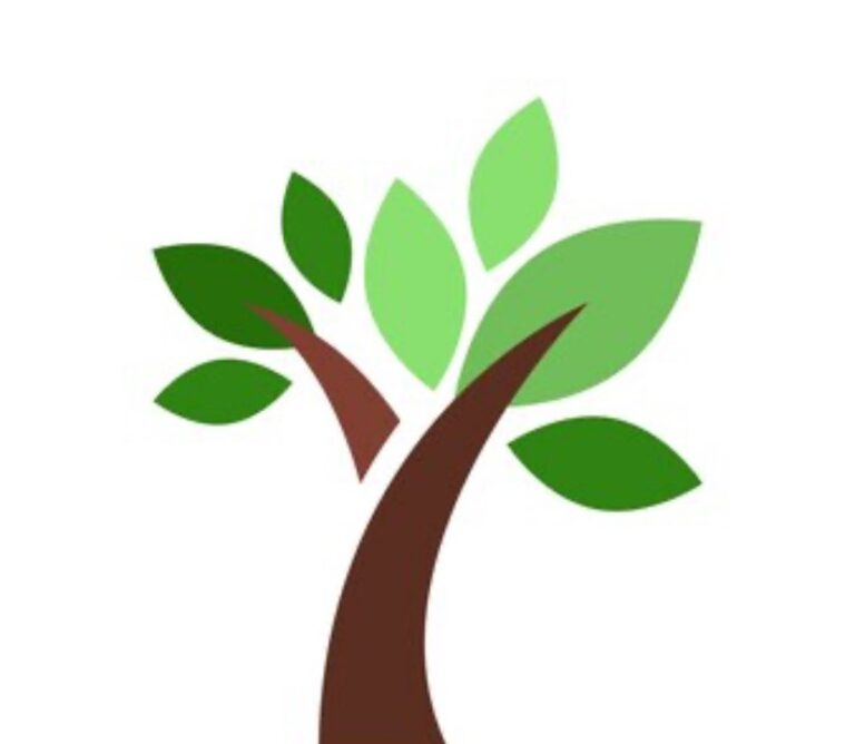 Clean and Tidy Logo 3 768x668