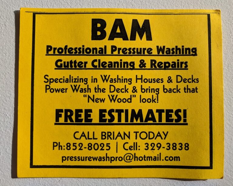 BAM gutter cleaning 768x613