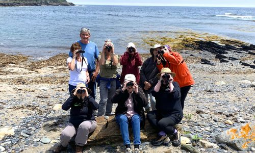 Birders-Interest-Group-Summer-2025